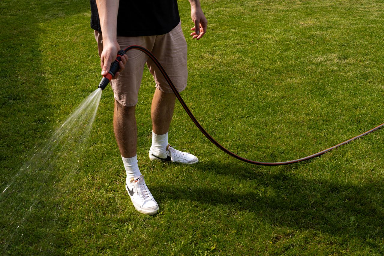 A man wearing shorts and sneakers watering a green lawn with a garden hose.