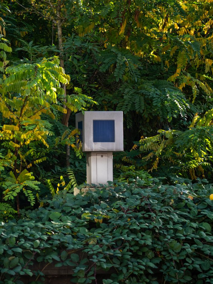 A security camera nestled among lush green foliage in an outdoor setting, providing natural surveillance.